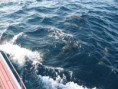 /album/transat/davide-15-jpg/